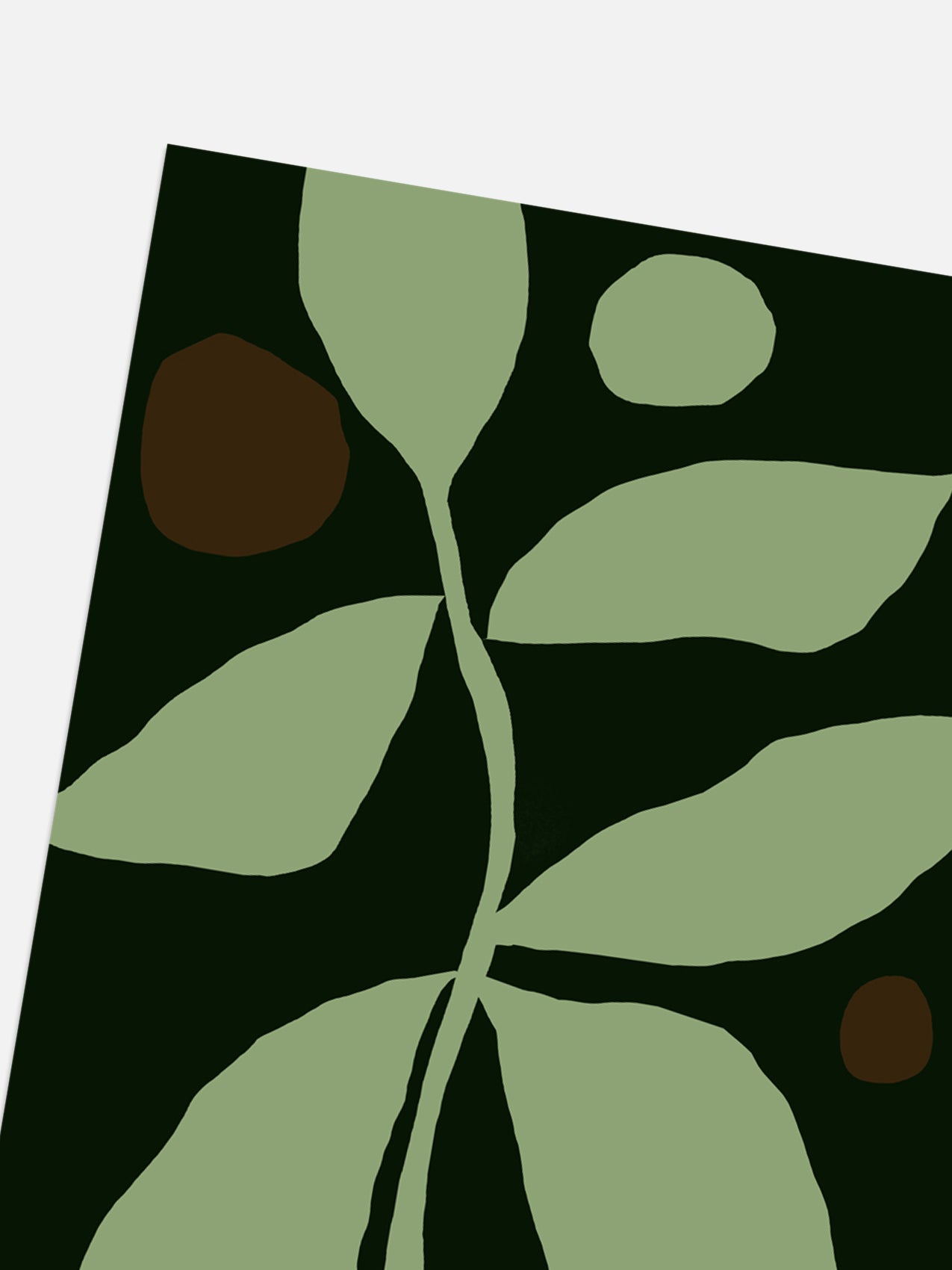 Midnight Seedling Print