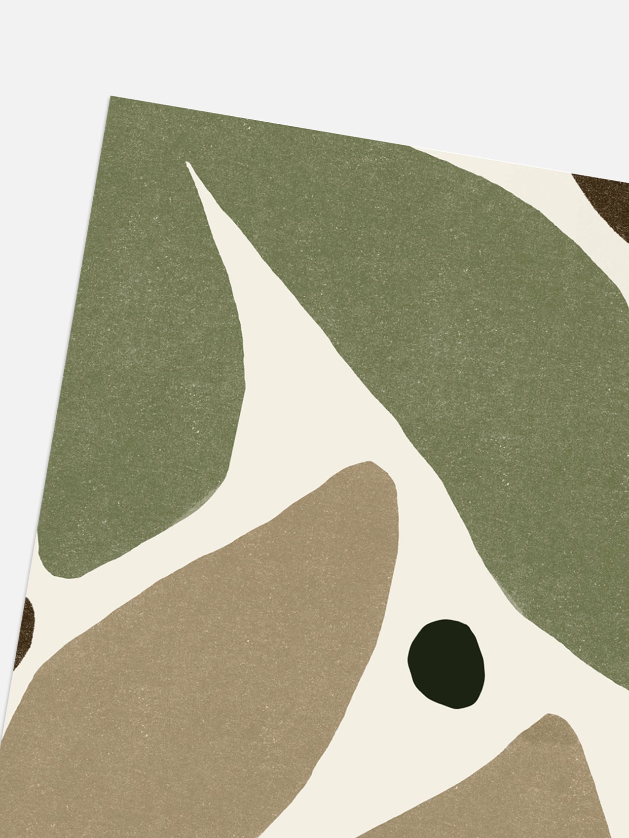 Morning Seedling Print